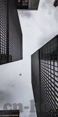 777大象传媒入口2022-探索777大象传媒入口的2022年新篇章