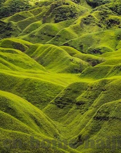 麻豆传媒软件下载-触碰潮流，深入解析麻豆传媒软件的便捷与魅力