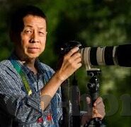 日韩在线蜜月av-日韩在线蜜月AV，文化、艺术与个人选择的交汇